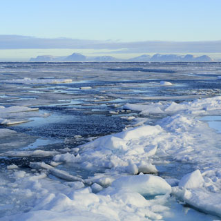 北極は今年の夏 海氷が全部溶けて消えてしまう Dasblog ドイツ語 新聞 記事 翻訳 ブログ